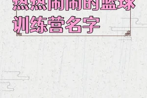 适合篮球训练营的名字